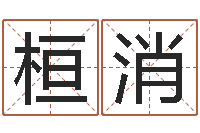 陈桓消免费测名公司起名网站-免费测名公司取名字