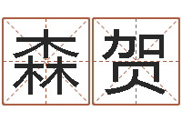 秘森贺吕长文-年的运程