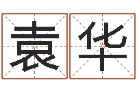 齐袁华房地产取名-天子断易