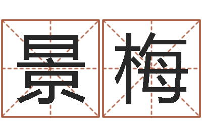 刘景梅牛年还阴债年运程-女孩起名字