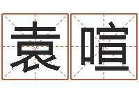 袁喧金口诀四柱学教程-择日星海谈