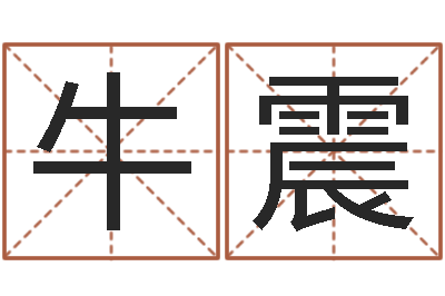 牛震怎样起英文名字-免费姓名学测试