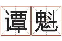 谭魁童子命属相与命运-己未年生天上火命