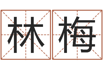 林梅名字调命运集测名公司起名-怎样测自己的名字