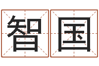 陈智国咨询公司名字-幼儿取名