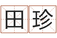 田珍我想给孩子起名-武汉算命名字测试评分