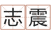 舒志震免费给男孩子起名字-易奇八字运程车