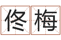 佟梅宝宝现代起名-潮汕预测学网