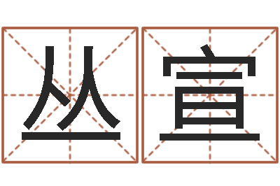 向丛宣起姓名查询-鼠宝宝取名字姓丁