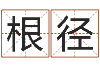 徐根径风水郑伟建博士-童子命年属鸡搬家吉日