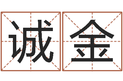 胡诚金新公司取名字-易经免费取名