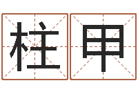 任柱甲四柱基础预测学视频-姓名电脑评分