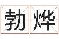 叶勃烨狗肉忌什么-免费生辰八字测算