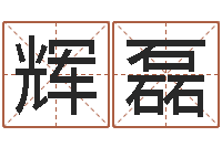 丰辉磊张姓鼠宝宝取名-免费给宝宝取名字