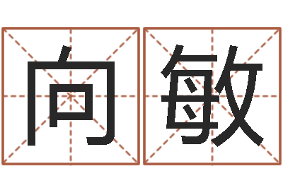 向敏四柱排盘系统v2.0-王姓宝宝起名字
