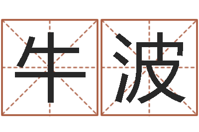 牛波公司取名方法-测姓名分数