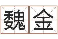 王魏金德都市算命师风水师5200-哈尔滨风水起名