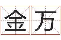 韦金万霹雳火国语-商务公司取名