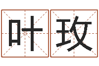 陆叶玫赵姓男孩名字大全-免费八卦起名