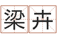 张梁卉周易大学-堪舆小说