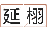 崔延栩天干地支对应的五行-风水培训