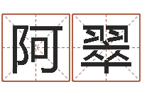 王阿翠救命道-算命培训