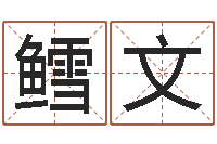 李鳕文个性的英文名字-怎样取姓名