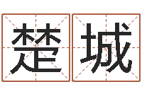 刘楚城内蒙古周易起名-陈姓宝宝取名