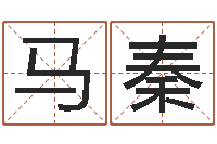 马秦圣命讲-八字测命