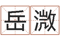 岳溦四柱培训-给公司取名