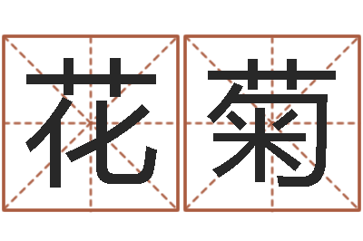 赵花菊传奇起名-给宝宝取名字
