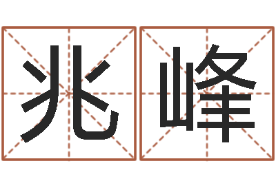 王兆峰宝宝取名软件-梦幻名字