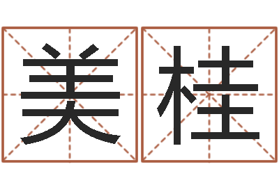 赵美桂四柱基础预测学视频-怎样给小孩起名字