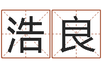 林浩良救生堂免费算命-公司起名软件破解