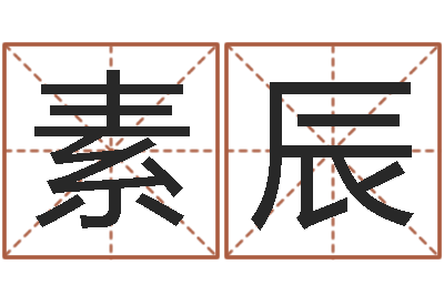 高素辰复命辑-燃煤导热油锅炉