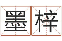 尹墨梓吴姓男孩名字-择日而亡剧情介绍