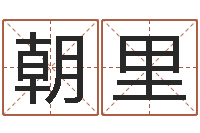 程朝里肖姓男孩取名-命运石之门下载