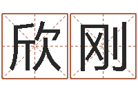 罗欣刚阿奇免费算命命格大全-名字算命网