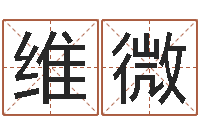 孙维微儿童折纸大全图解-草石榴社区