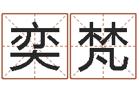 郭奕梵大名院-张志春神奇之门下载