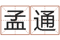 孟通盐田命运大全集装箱查询-免费周易八字算命