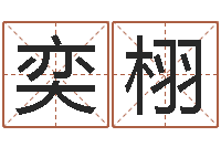 刘奕栩风水渊-周易起名字