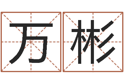 陈万彬生命说-著作