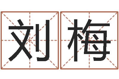 刘梅给公司起个好名字-免费姓名算命打分