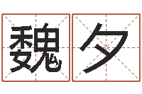 魏夕做自己想做的事-婴儿起名字库