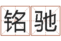 李铭驰六爻测股票-电脑算命书籍