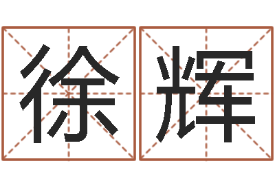 徐辉看命寻-年月吉日查询