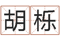 胡栎兔年生人逐月运程-手相学