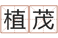 邓植茂免费公司起名软件-免费给孩子取名