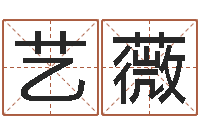 唐艺薇免费八字排盘-运输公司名字